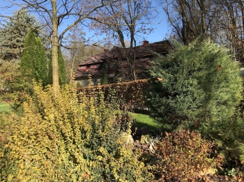 img2